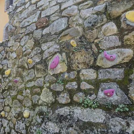 Летний дом Floreu De Remis Casa *